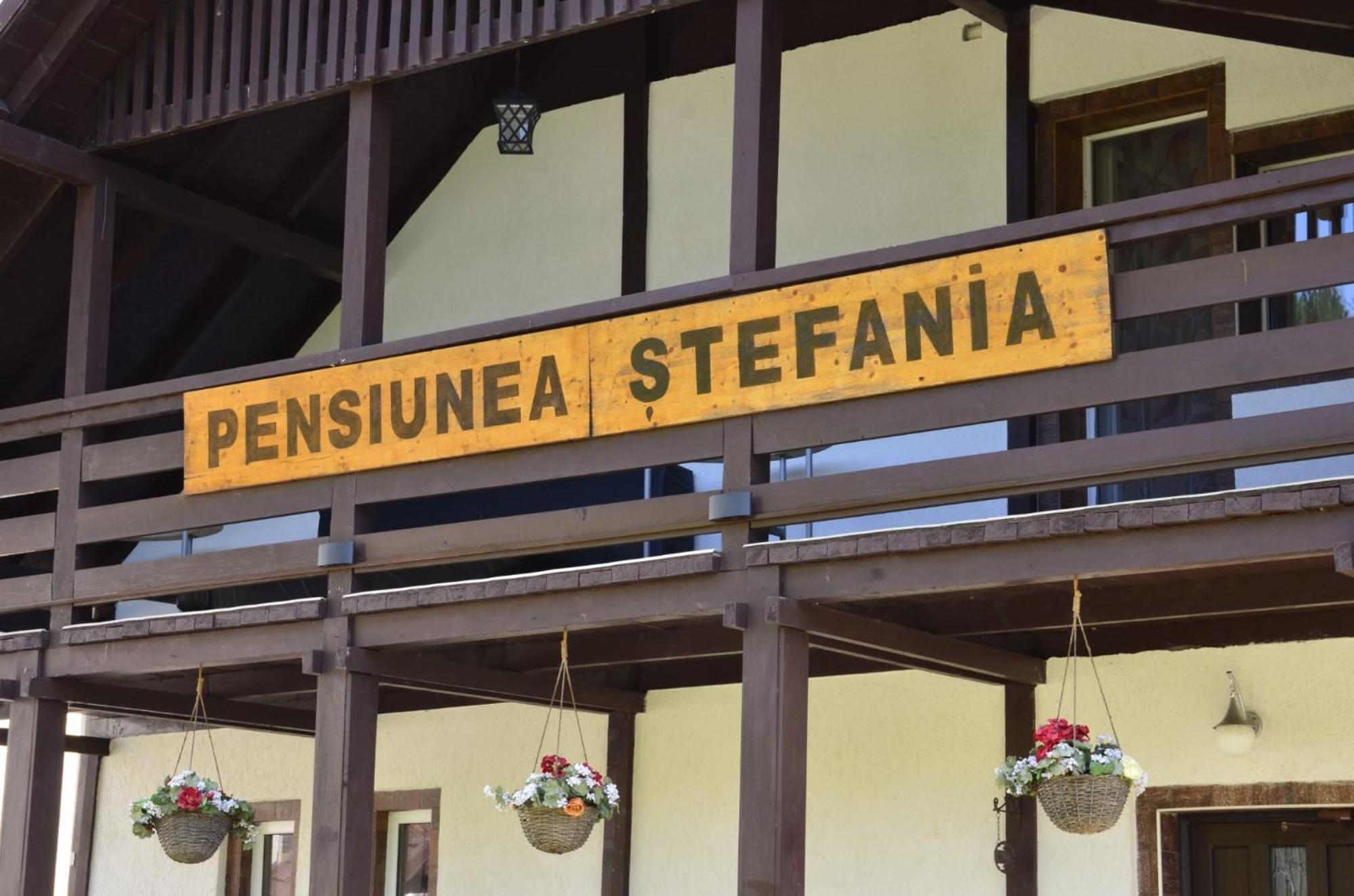 חונדוארה Pensiune Stefania מראה חיצוני תמונה